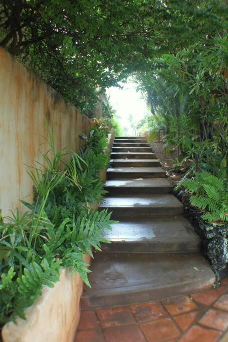 North Shore Of Maui - 2Bd-2Bath Paia Exterior photo